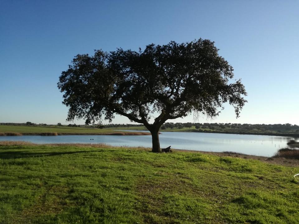 Monte Da Figueira Villa Amareleja Екстериор снимка