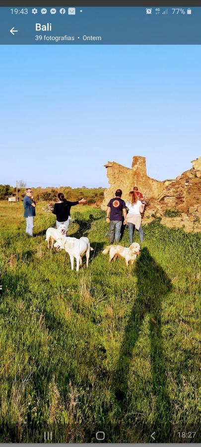 Monte Da Figueira Villa Amareleja Екстериор снимка