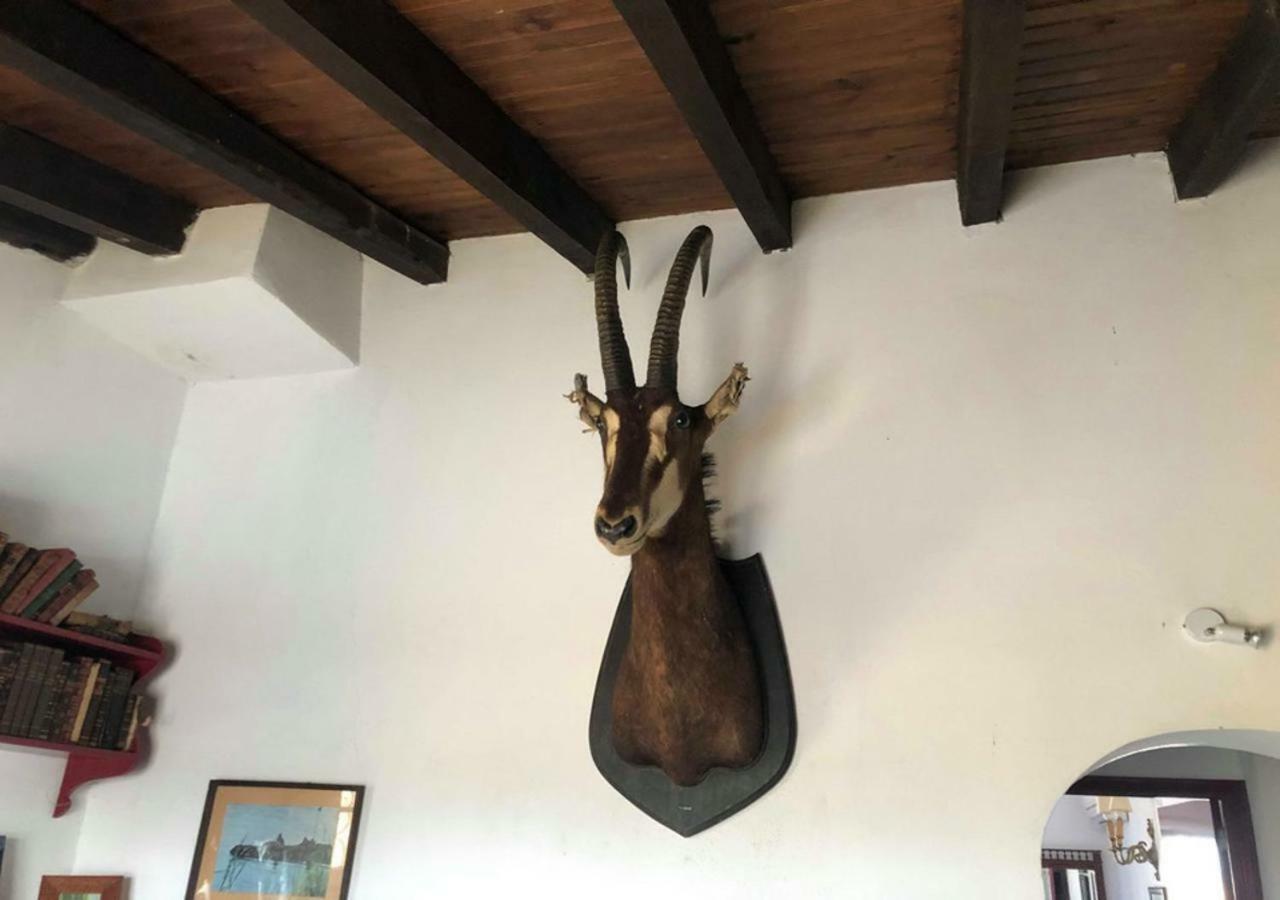 Monte Da Figueira Villa Amareleja Екстериор снимка